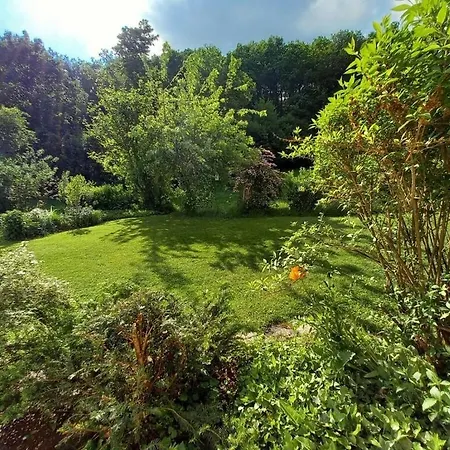 Flender Siegerland Hébergement de vacances Netphen