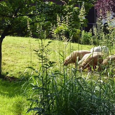 Hébergement de vacances Flender Siegerland Netphen