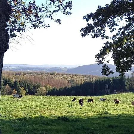 Hébergement de vacances Flender Siegerland Netphen